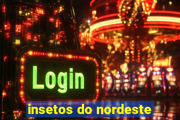 insetos do nordeste